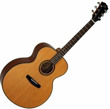 Guitare acoustique Jumbo Dowina J555 Natural - 1