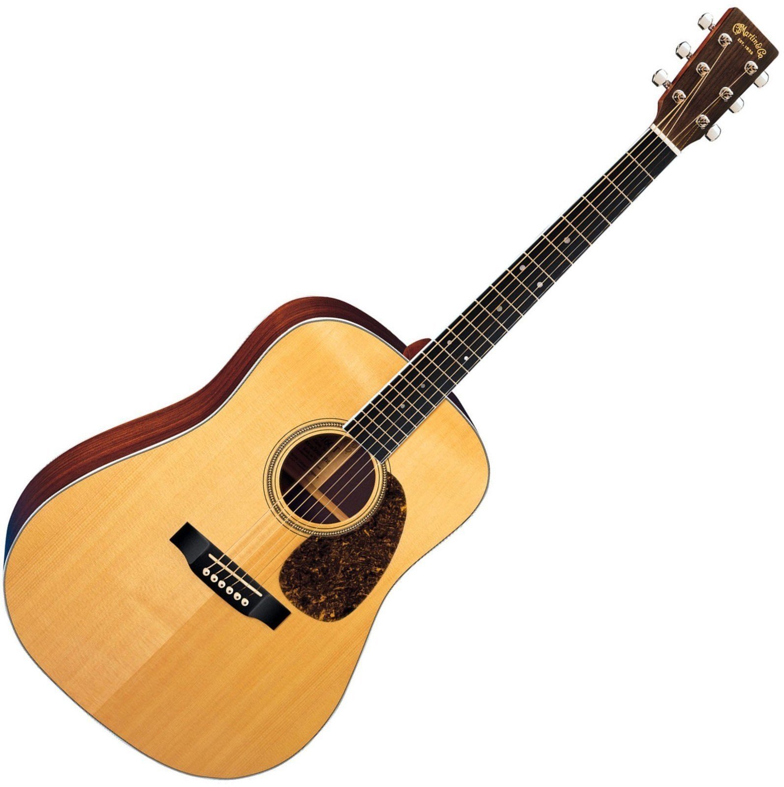 Dreadnought Guitar Martin D16RGT