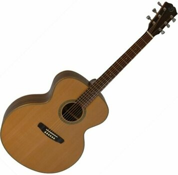 Guitarra jumbo Dowina J999 - 1