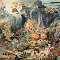 Vinyl Record Chypho - Episodes in Oceanography, Vol. 2 (2 LP)