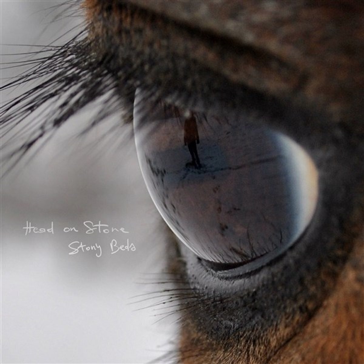 Vinylplade Head on Stone - Stony Beds (LP)