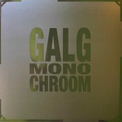 Vinyl Record Galg - Monochroom (2 LP)