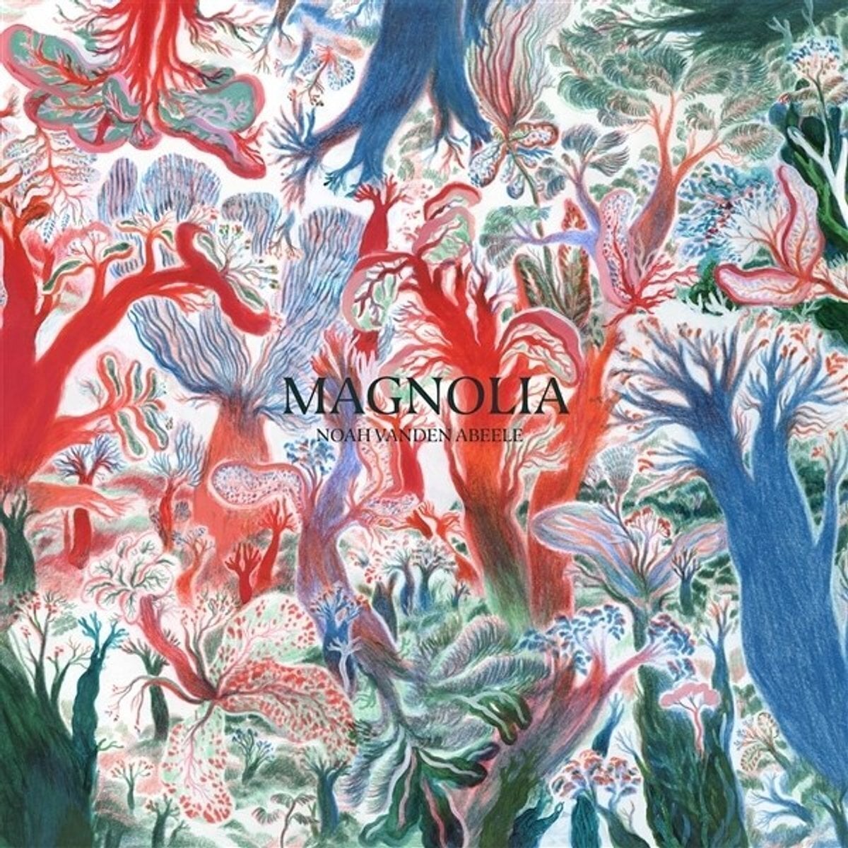 Disque vinyle Noah Vanden Abeele - Magnolia (LP)