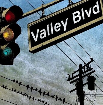 Disco in vinile Various Artists - Valley Blvd (LP) - 1