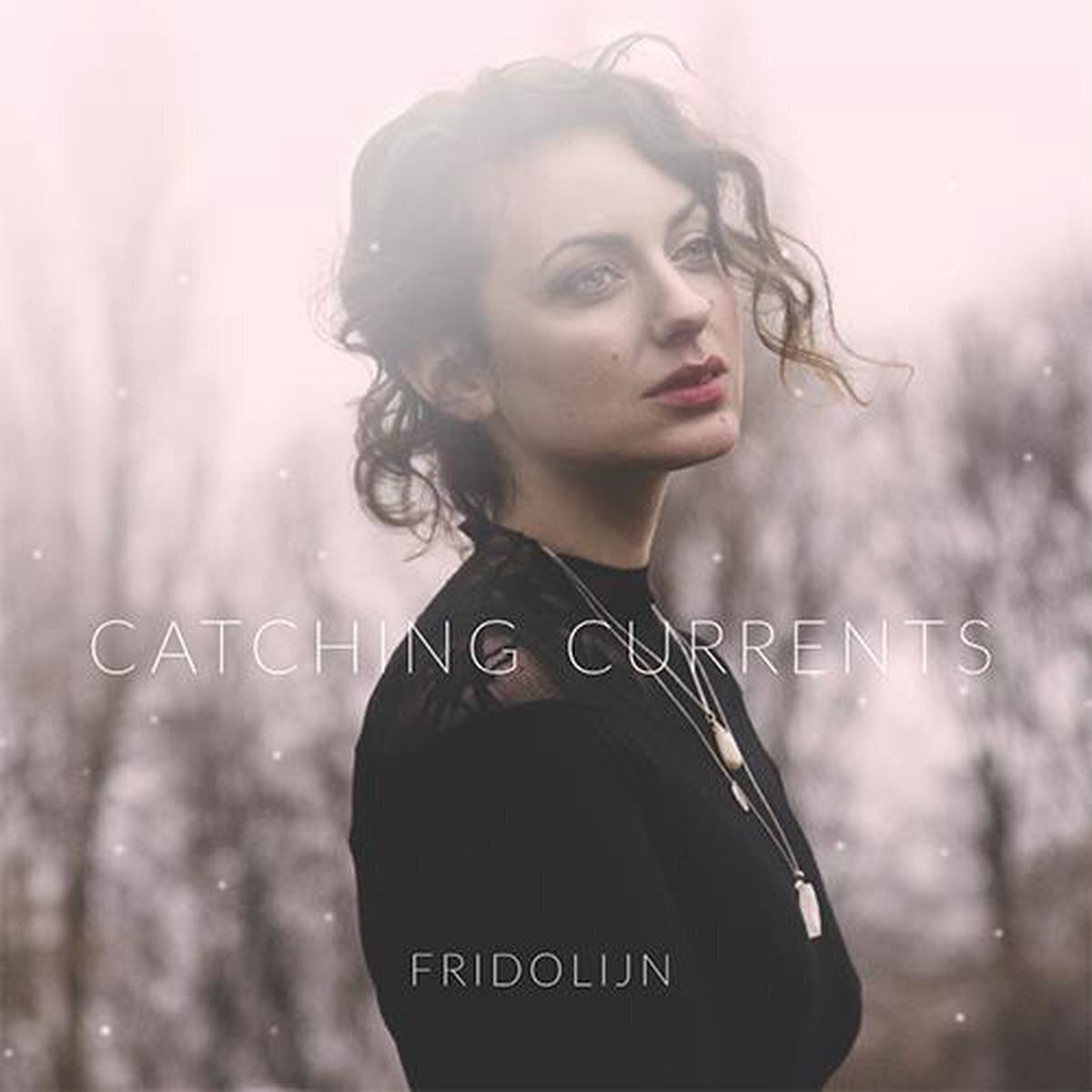 Vinilinė plokštelė Fridolijn van Poll - Catching Currents (Limited Edition) (LP)