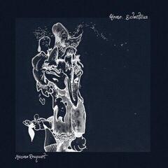 Vinyl Record Maxime Rouquart - Homo Eclecticus (LP)