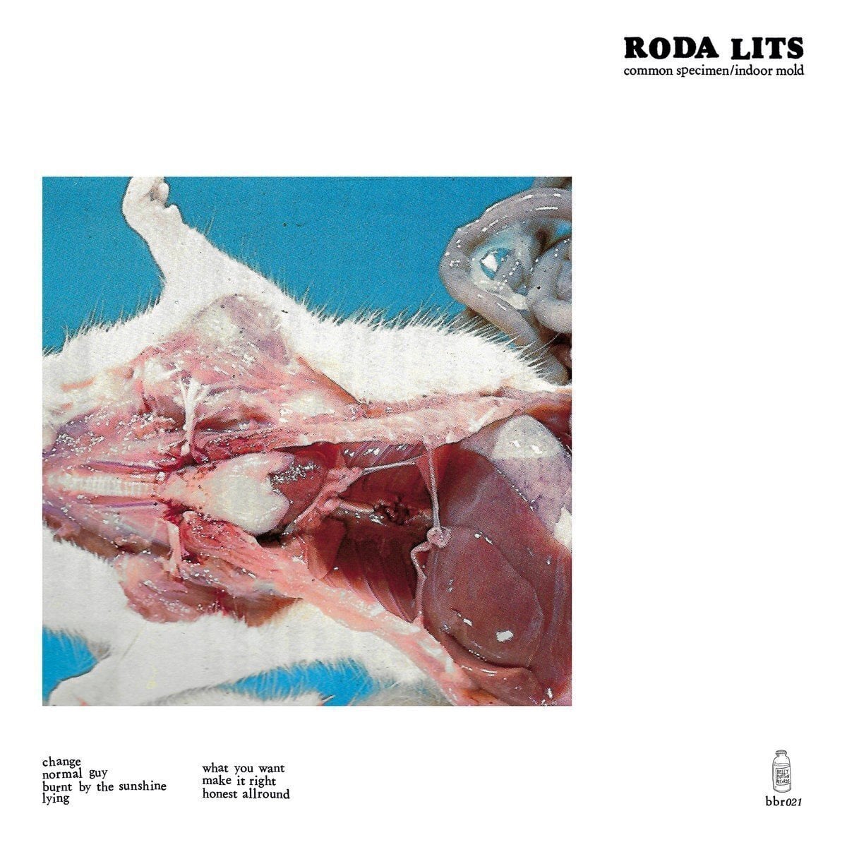 Грамофонна плоча Roda Lits - Common Specimen / Indoor Mold (LP)