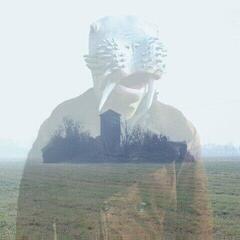 Vinyl Record Chow - Ancient Gentle Tower (LP)