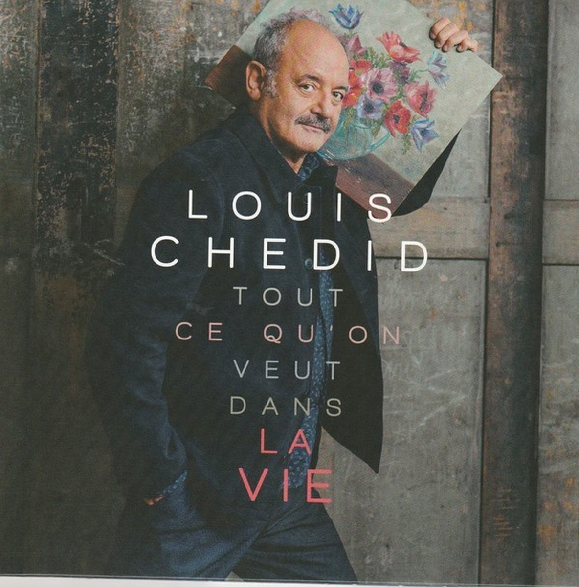 Vinyl Record Louis Chedid - Tout Ce Qu'on Veut Dans La Vie (LP)