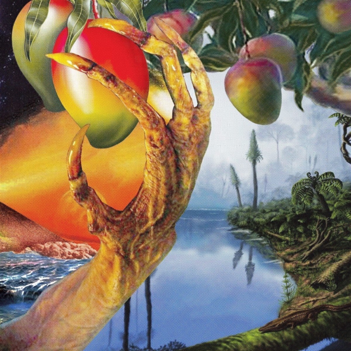 LP ploča Timelash - A Morphology Of Wonders (2 LP)