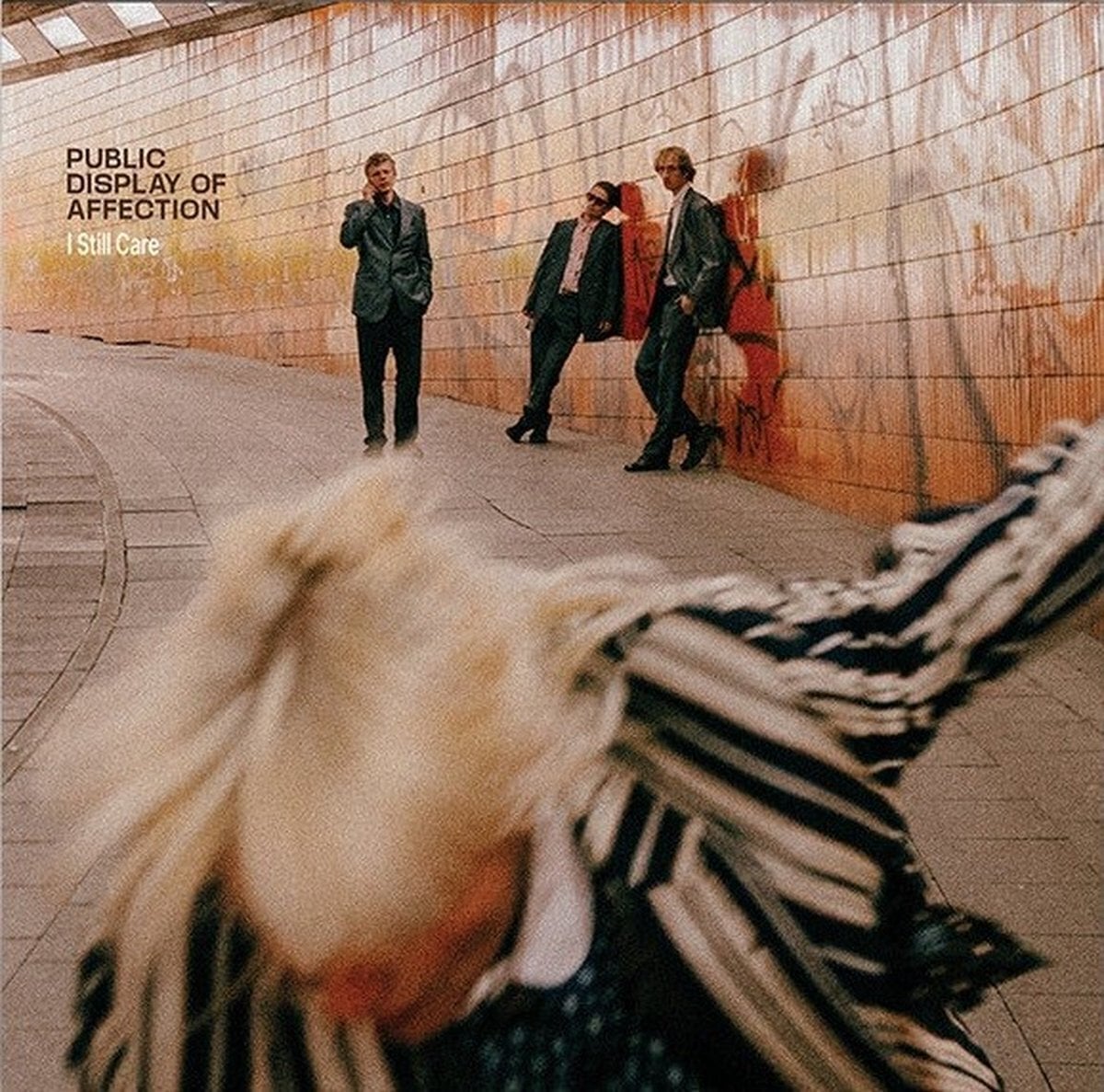 Vinyl Record Public Display of Affection - I Still Care (LP)