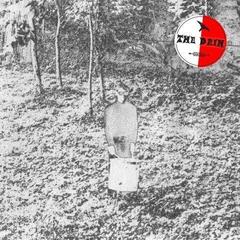 Vinyl Record The Drin - Down River In The Distance (LP)