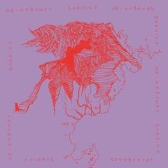 Disque vinyle Neighbours Burning Neighbours - Burning Neighbours (LP)
