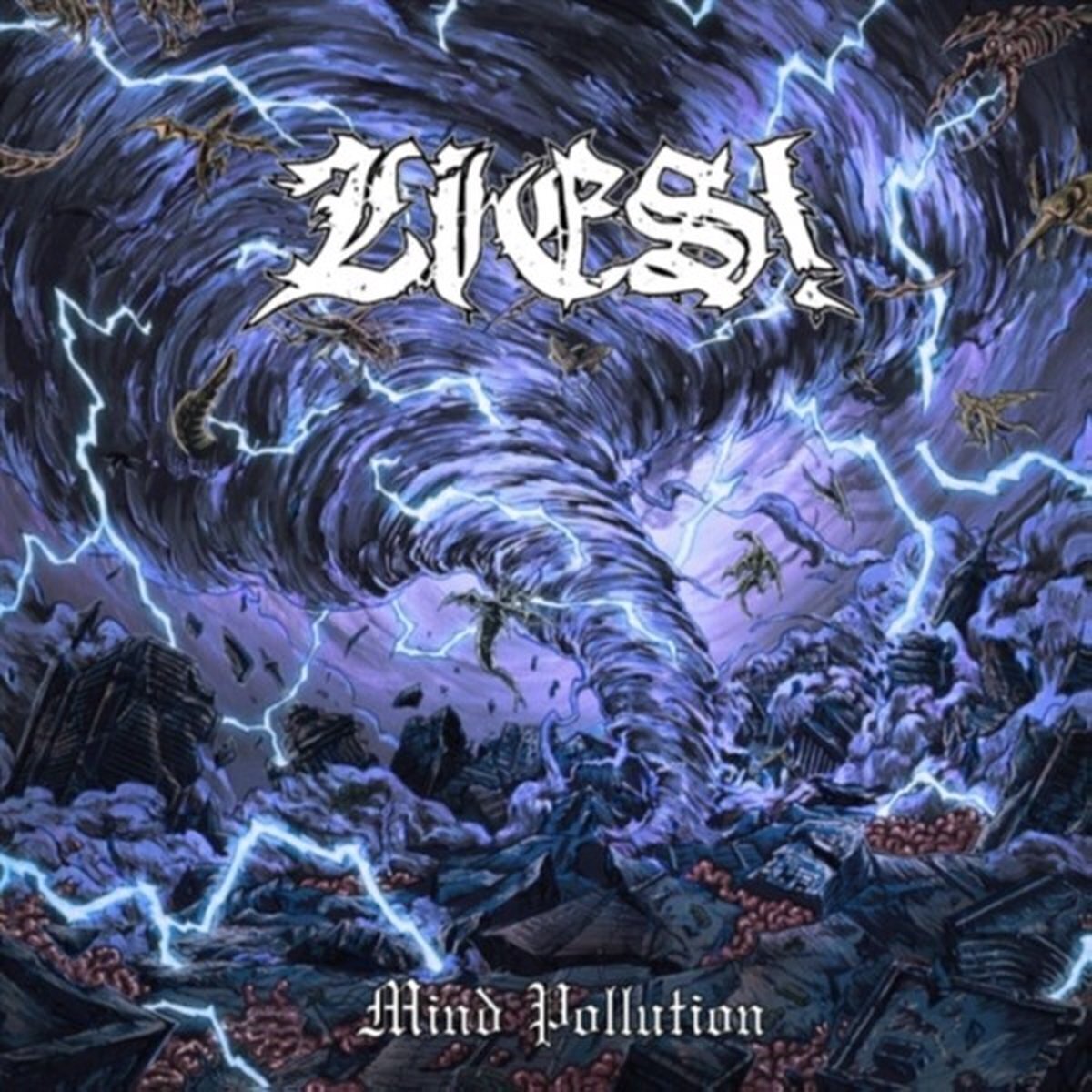 Vinyl Record Lies - Mind Pollution (Limited Edition) (LP)