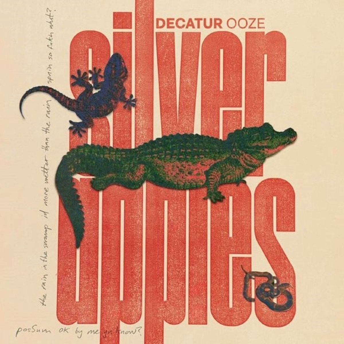Płyta winylowa Silver Apples - Decatur ooze (LP)