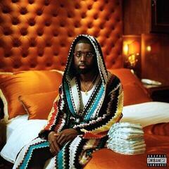 Vinylplade Nnelg - Rijkdom (LP)