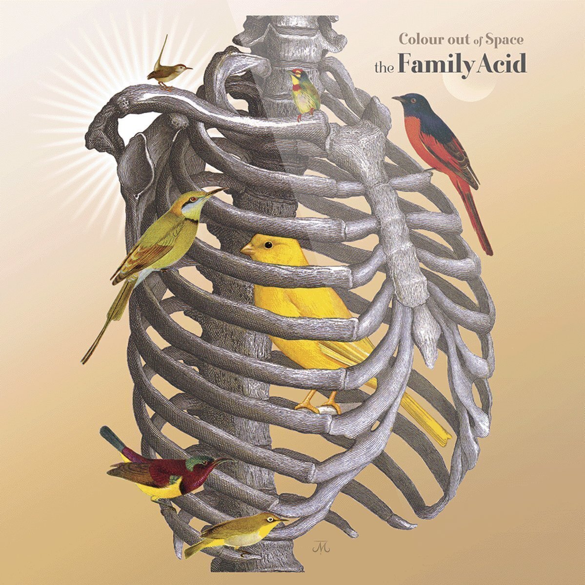 LP deska The Family Acid - Colour Out Of Space (LP)