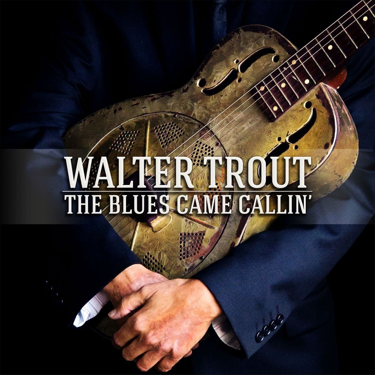 Płyta winylowa Walter Trout - The Blues Came Callin' (180 g) (2 LP)