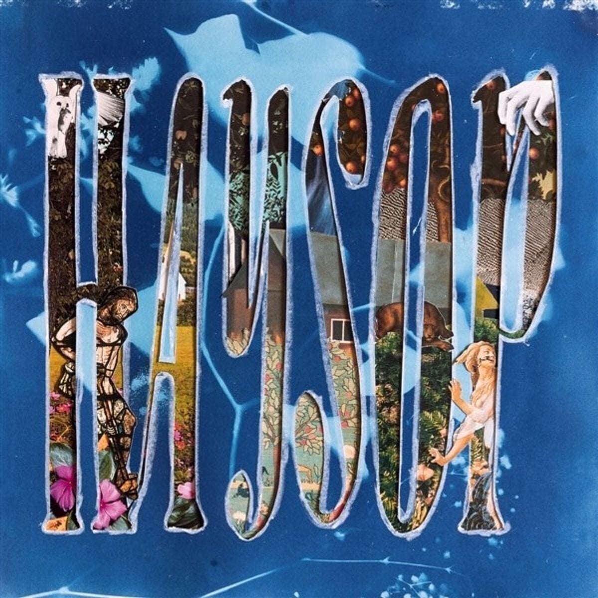 Грамофонна плоча Haysop - Haysop (LP)