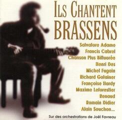 Vinyl Record Various Artists - Ils Chantent Brassens (Remastered) (2 LP)