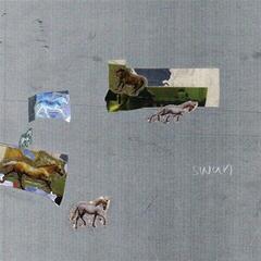 Vinyylilevy Fazed On A Pony - Swan (LP)