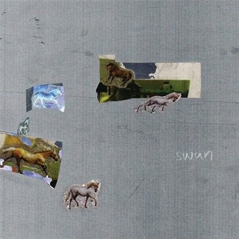 Vinyylilevy Fazed On A Pony - Swan (LP) - 1