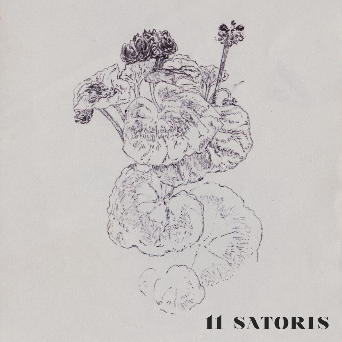 Vinylplade 11 Satoris - 11 Satoris (LP)