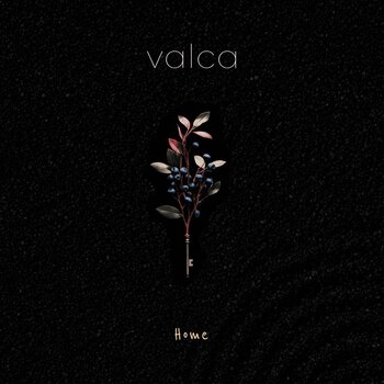 Vinyl Record Tube - Valcano (LP) - 1