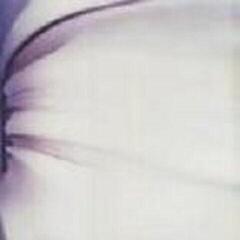 LP Sonna - [We Sing Loud] Sing Soft Tonight (LP)