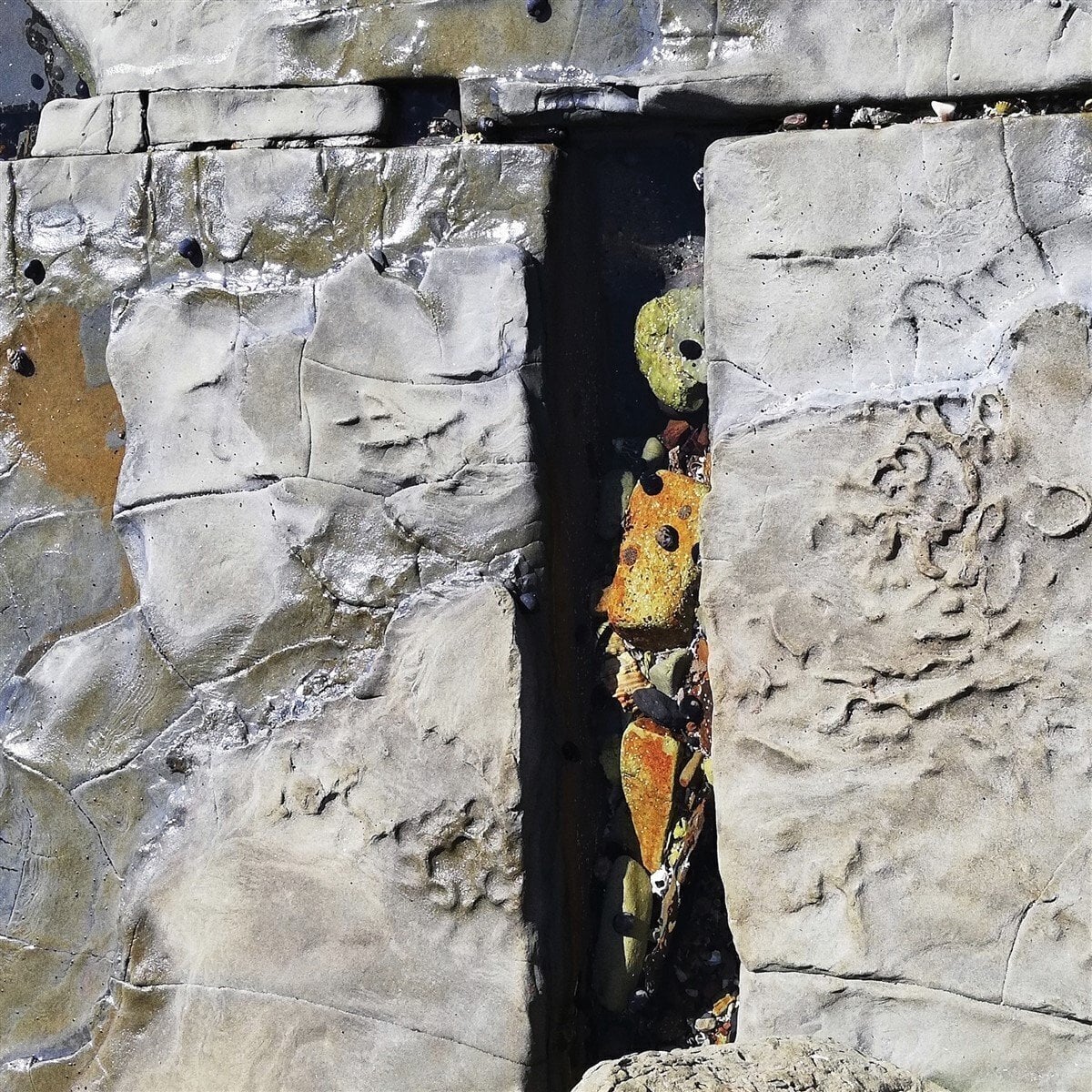 Schallplatte Troth - Oak Corridor (LP)