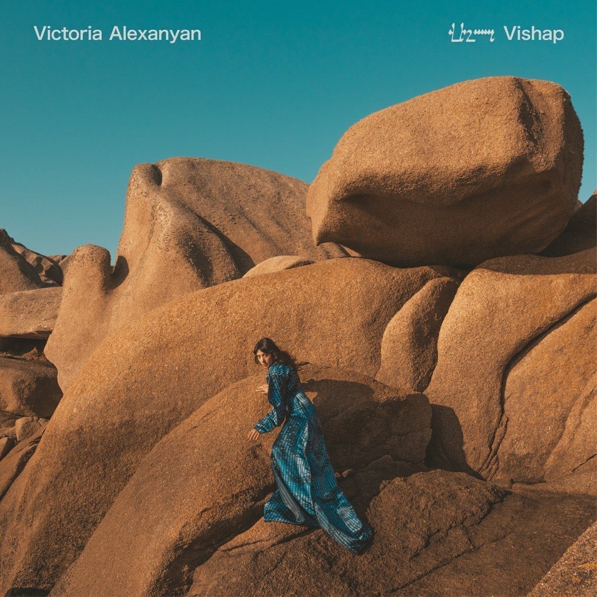 Грамофонна плоча Victoria Alexanyan - VISHAP (LP)