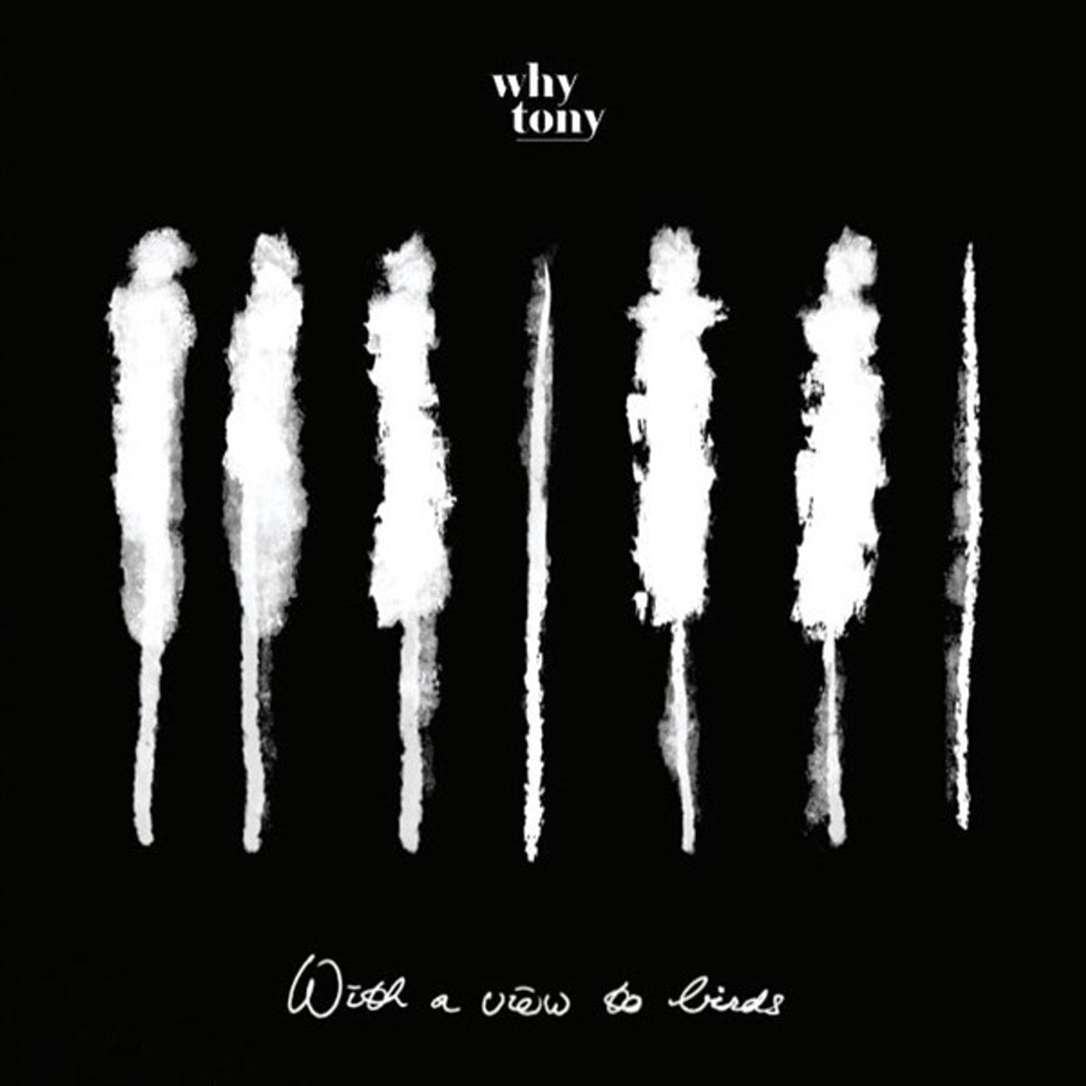 Δίσκος LP Why Tony - With a View to Birds (LP)