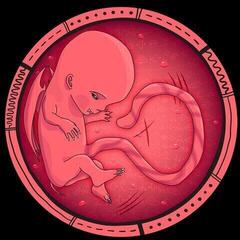 Грамофонна плоча Kazam Davis & Tozer & Starf - City Under Siege / Son Of Dragon (LP)