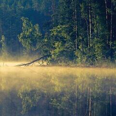 Płyta winylowa Oneirogen - Plenitude (Limited Edition) (EP)