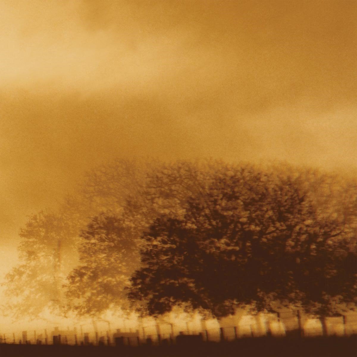 Hanglemez Infinite Light Ltd. - Infinite Light Ltd. (Limited Edition) (LP)