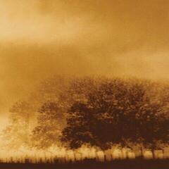 Hanglemez Infinite Light Ltd. - Infinite Light Ltd. (Limited Edition) (LP)