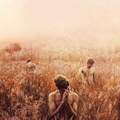 Schallplatte Sebastian Plano - Arrhythmical Part Of Hearts (LP)