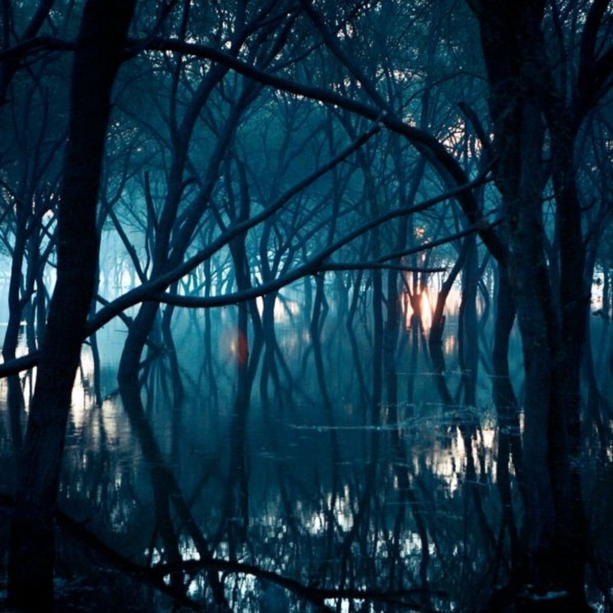 Disco de vinil Oneirogen - Kiasma (Limited Edition) (2 LP)