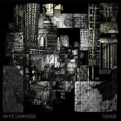 Disco de vinil White Darkness - ToKAGE (Limited Edition) (2 LP)