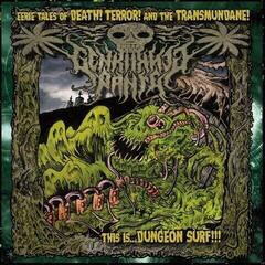 Vinylplate Genki Genki Panic - Dungeon Surf (LP)