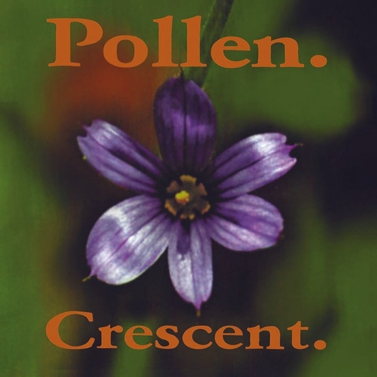Disco de vinil Pollen - Crescent (Reissue) (LP)