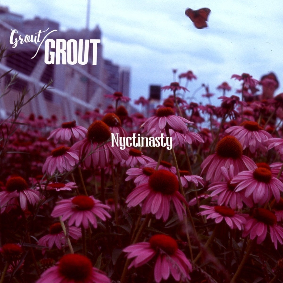 Vinyl Record Grout/grout - Nyctinasty (LP)