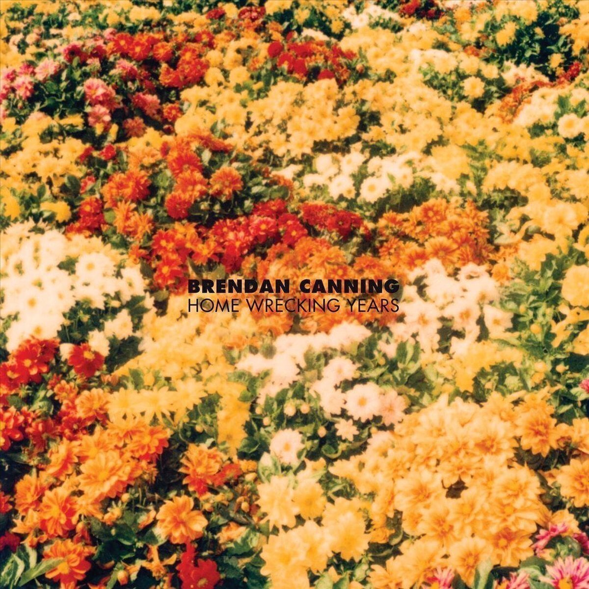 LP platňa Brendan Canning - Home Wrecking Years (LP)