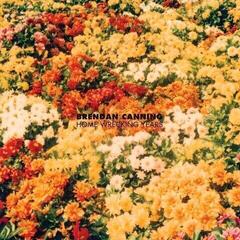 LP platňa Brendan Canning - Home Wrecking Years (LP)