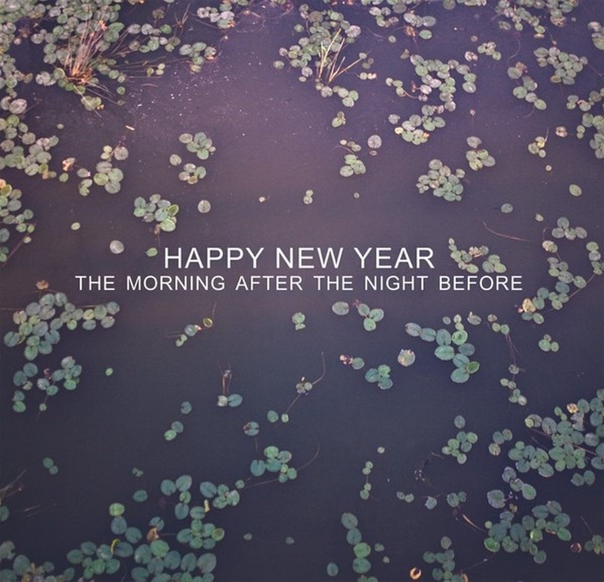 Vinyl Record Happy New Year - The Morning After The Night Before (LP)