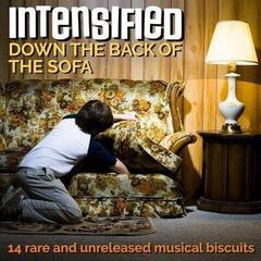 Vinylplate Intensified - Down The Back Of The Sofa (LP)