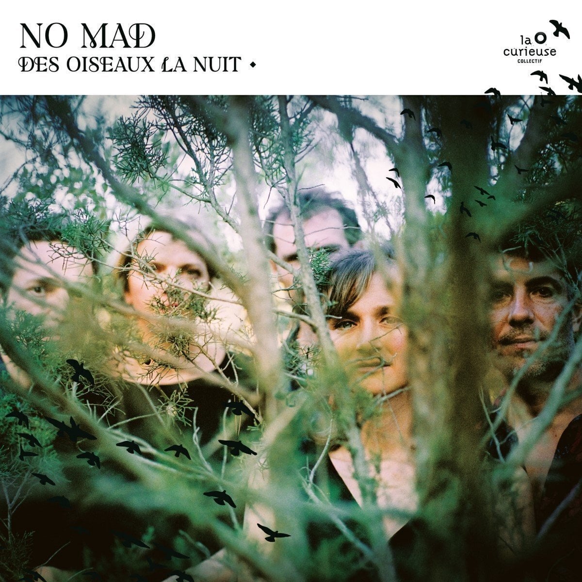 Disco de vinil No Mad? - Des Oiseaux La Nuit (LP)