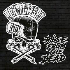 Disco de vinil Perfect Sky - Rise From The Dead (LP)