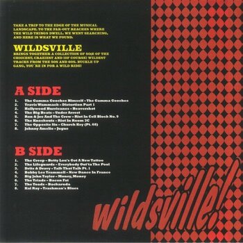 Disc de vinil Various Artists - Wildsville (LP) - 1