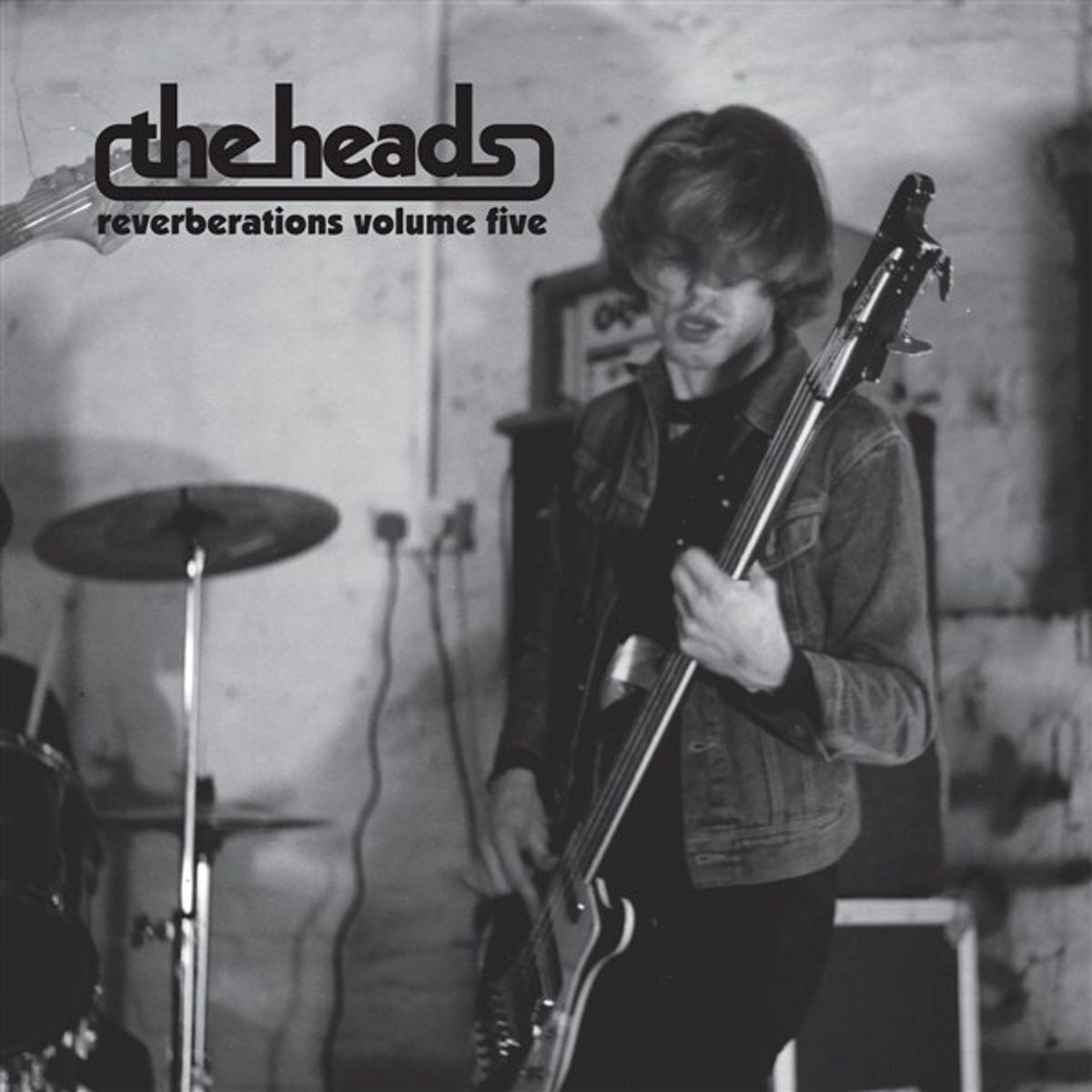 Vinylskiva The Heads - Reverberations Volume Two (LP)